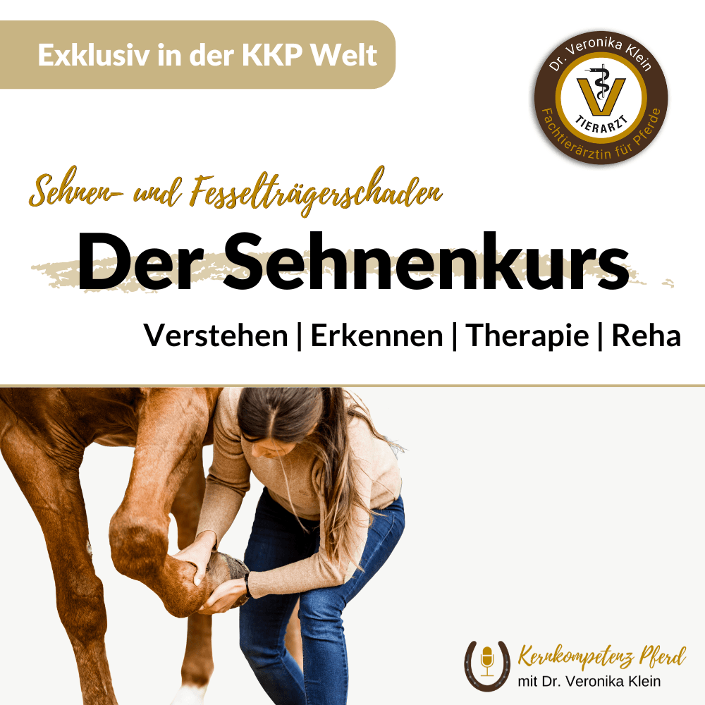 Der Sehnenkurs: Verstehen, Erkennen, Therapie, Reha, mit Dr. Veronika Klein