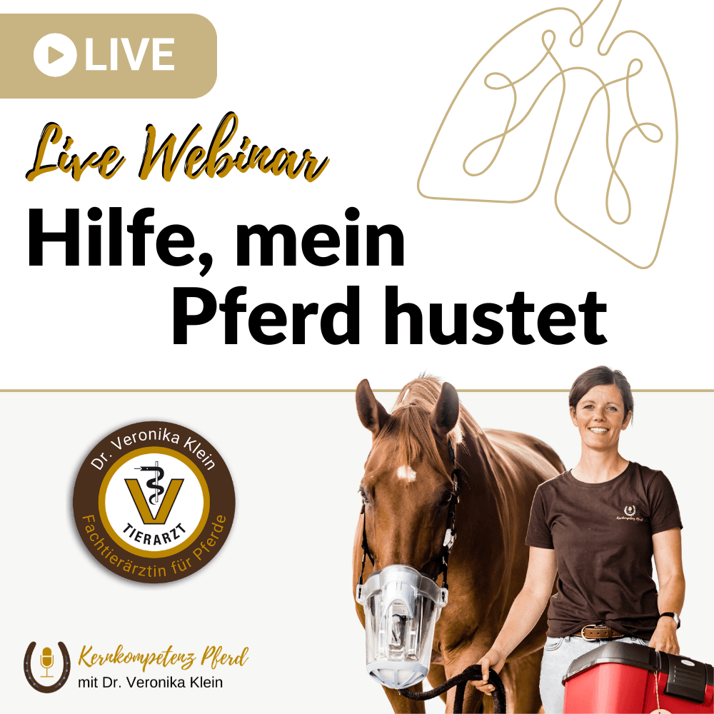 Webinar: Hilfe, mein Pferd hustet