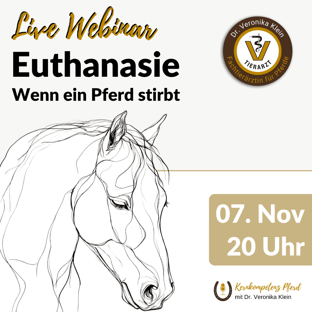 Webinar: Euthanasie – wenn ein Pferd stirbt