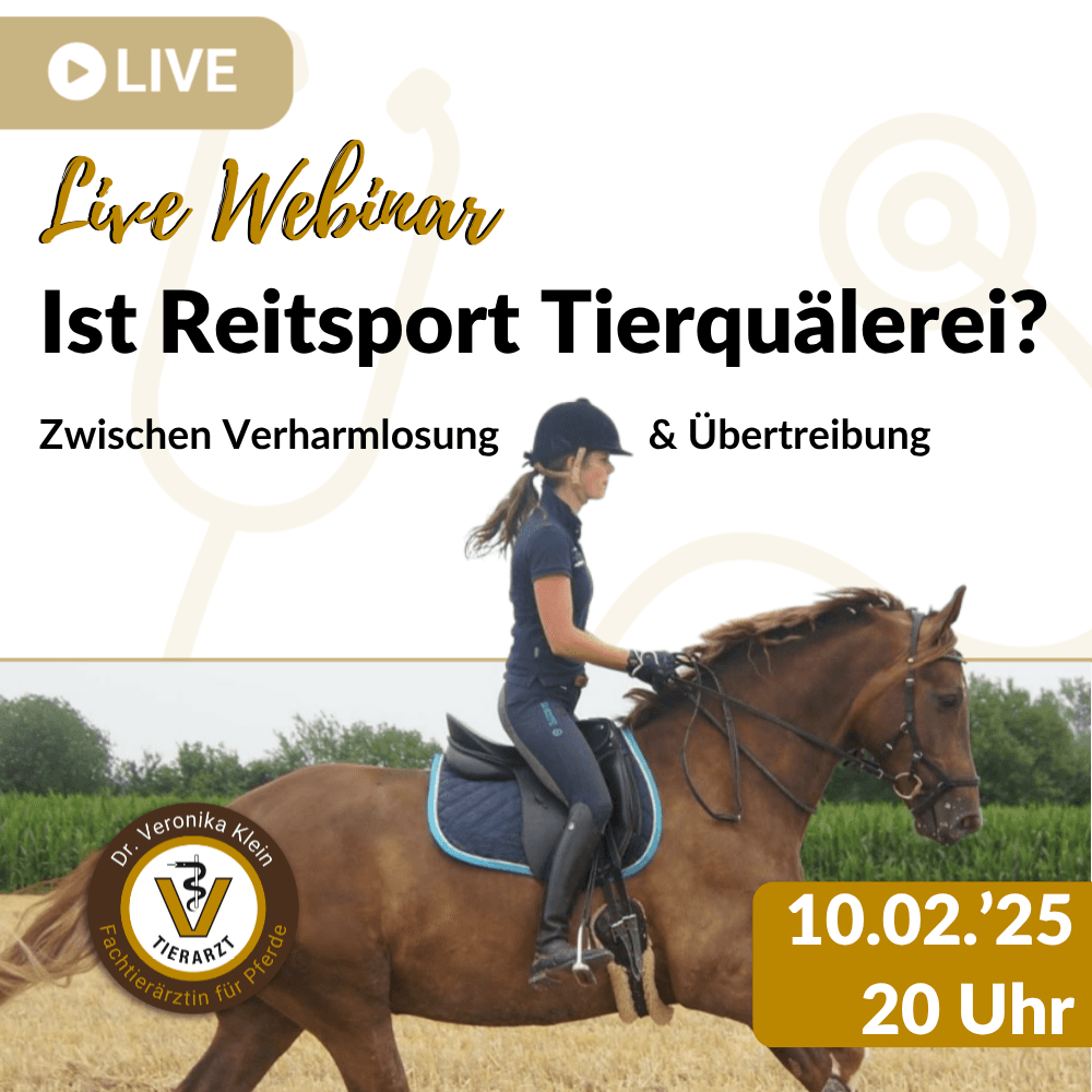 Webinar: Ist Reitsport Tierquälerei?
