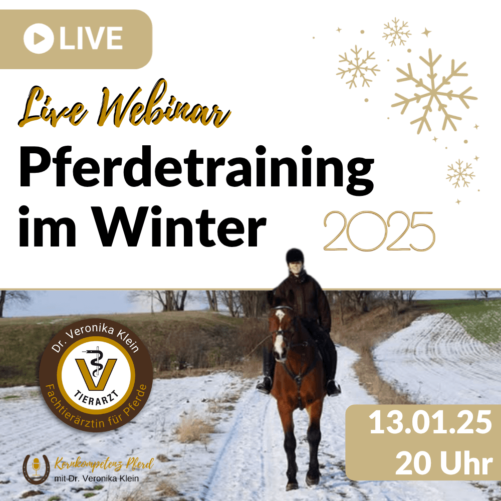 Webinar: Pferdetraining im Winter