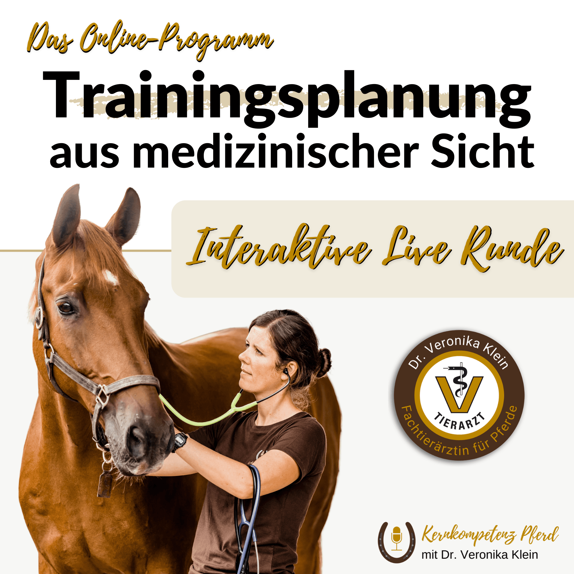 Die strukturierte Trainingswoche
