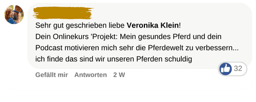 Social Media Kommentar