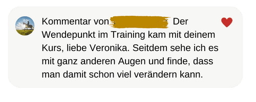 Social-Media-Kommentar: Der Wendepunkt im Training kam mit dem Kurs – seitdem sehe ich vieles mit ganz anderen Augen