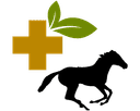 Kräuter-Notfall-Apotheke