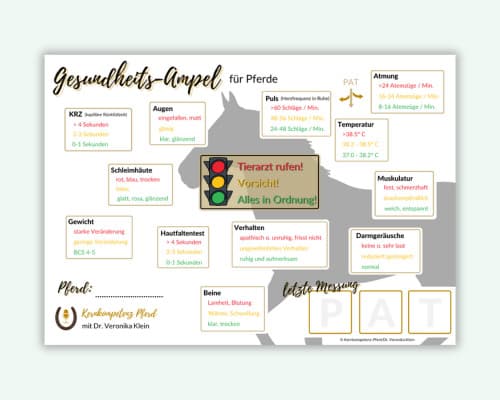 Die Gesundheitsampel