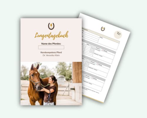 Das Lungen-Tagebuch