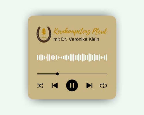 Der Podcast