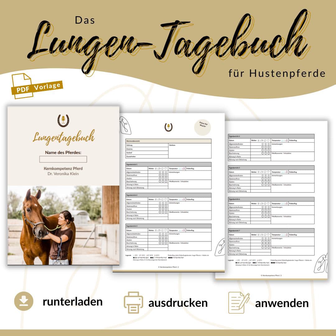 für Hustenpferde
