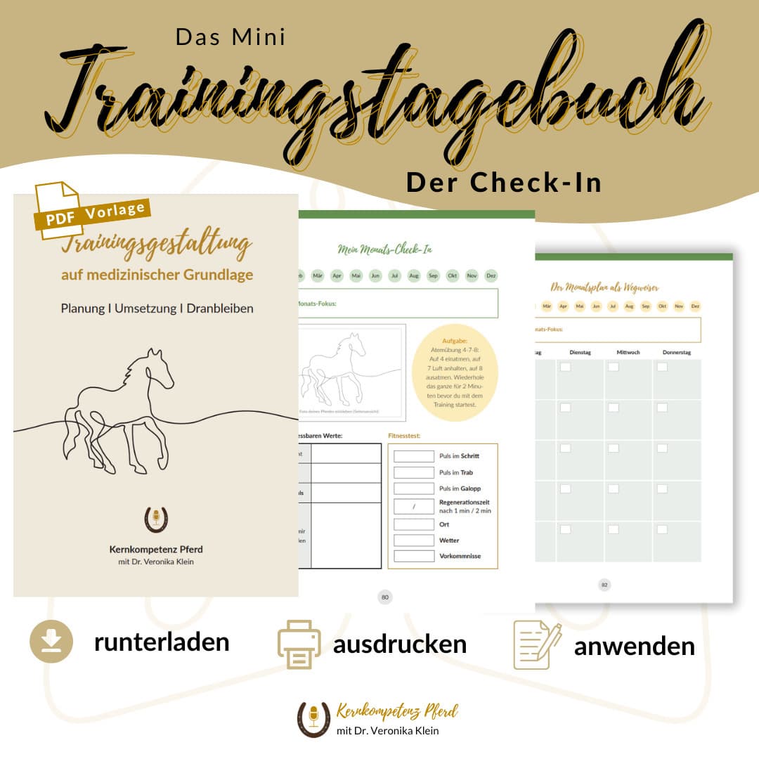 Der Mini Check-In