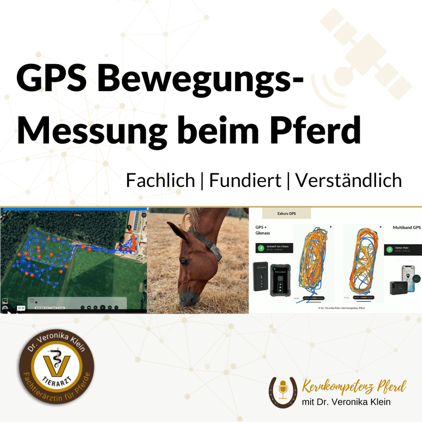 GPS Kurs
