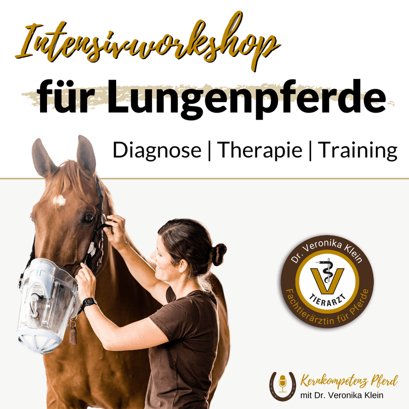 Intensiv-Workshop für Lungenpferde