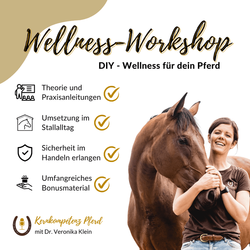 Wellness Workshop