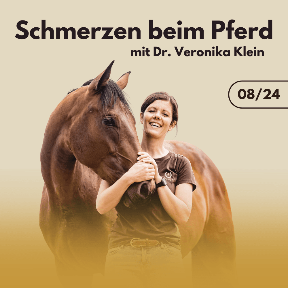 Schmerzen beim Pferd mit Dr. Veronika Klein
