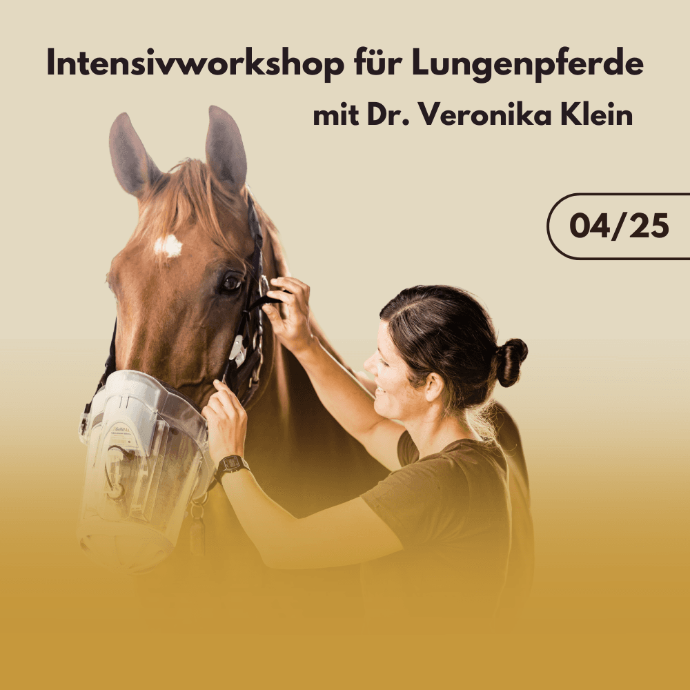 Intensivworkshop für Lungenpferde mit Dr. Veronika Klein