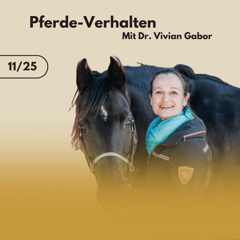 Pferde-Verhalten mit Dr. Vivian Gabor
