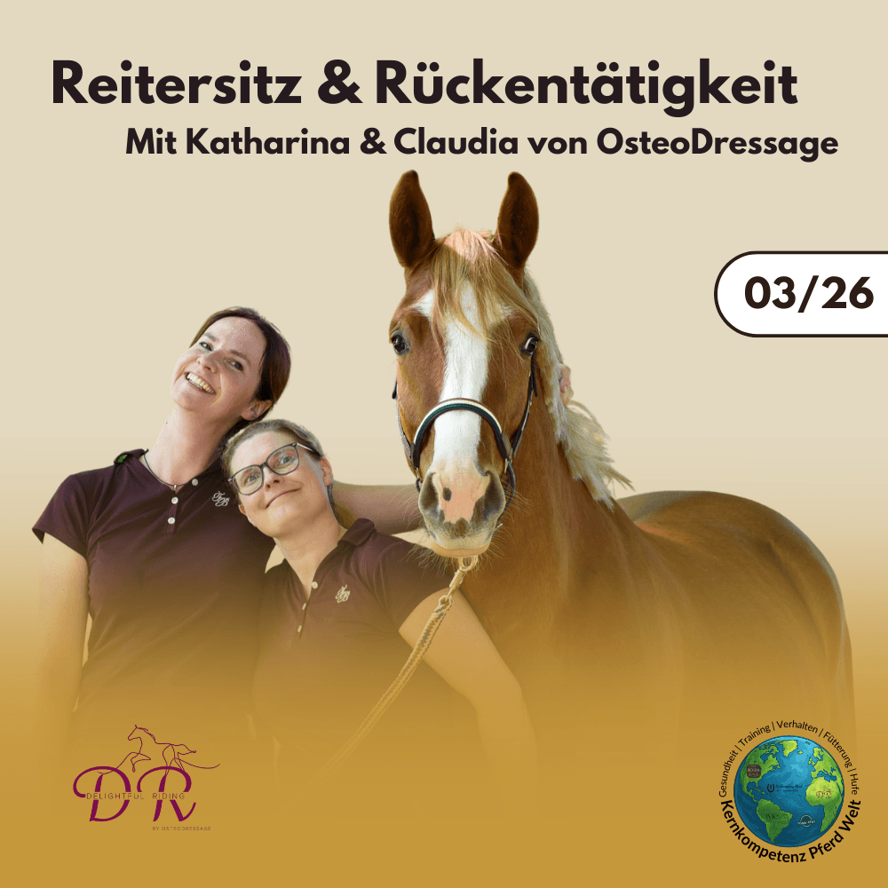 Reiter, Sitz und Rückentätigkeit mit Katharina und Claudia von OsteoDressage