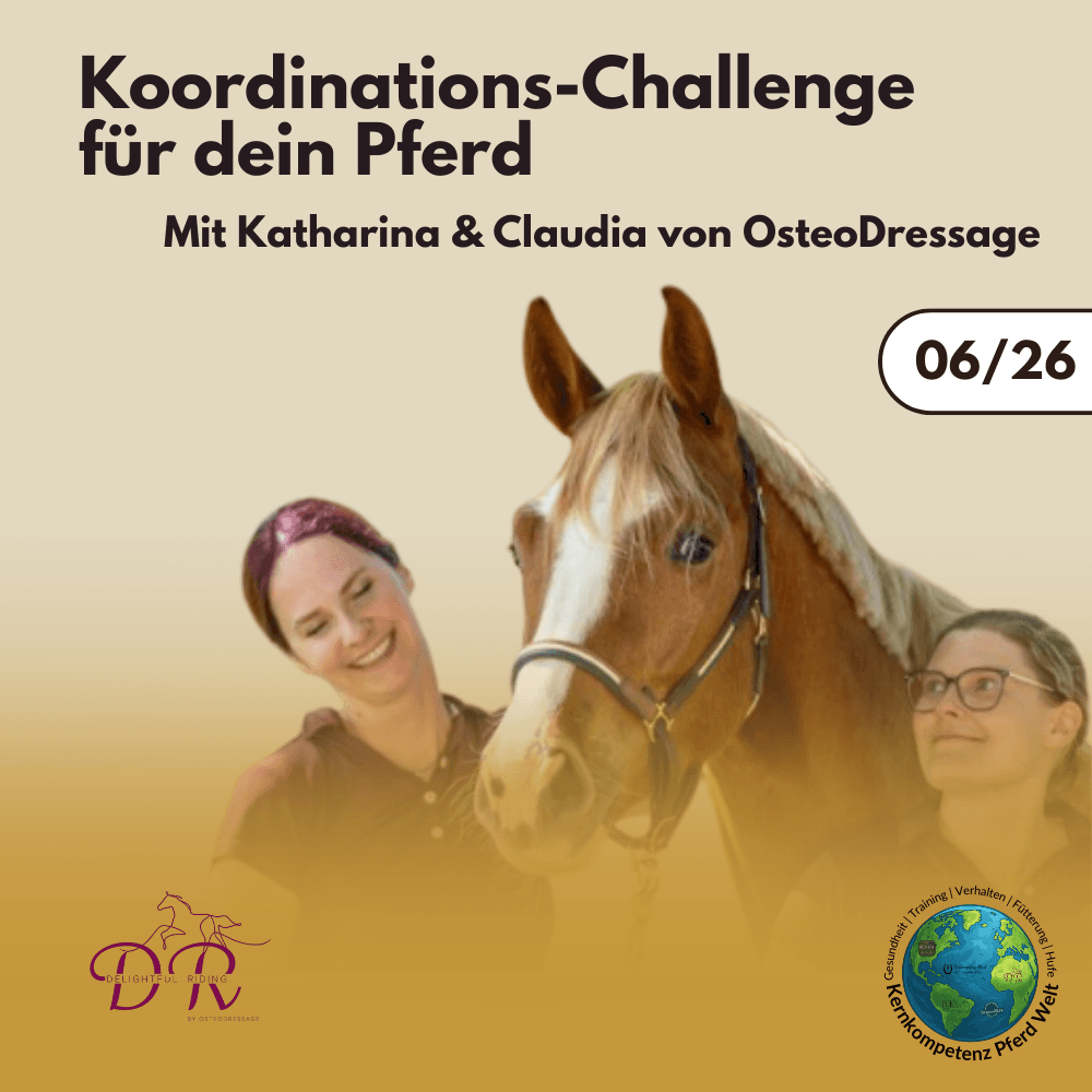Koordinations-Challenge für dein Pferd mit Katharina und Claudia von OsteoDressage
