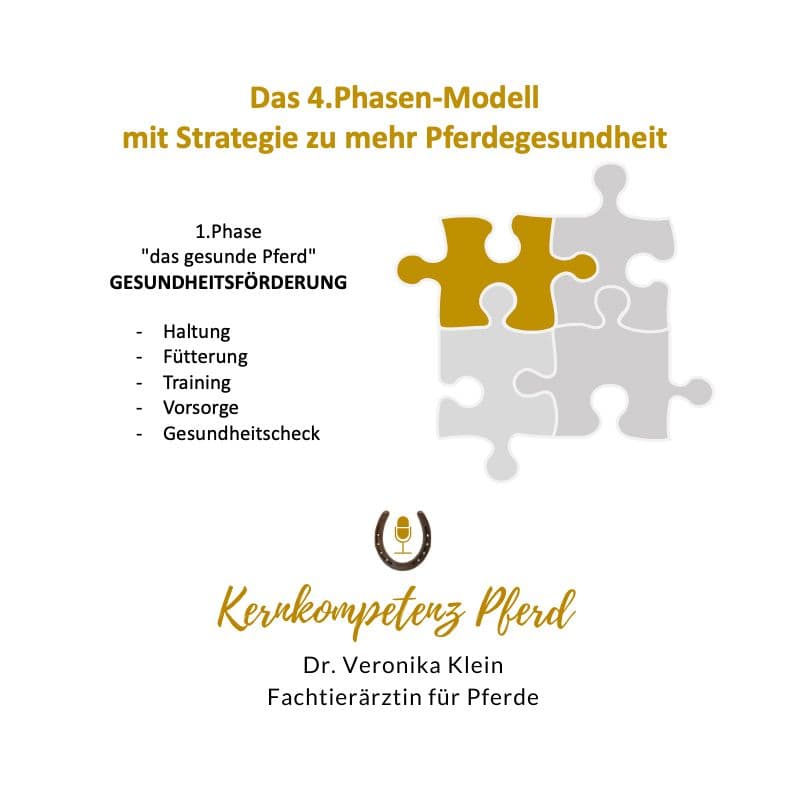 Phase 1: Gesundheitsförderung
