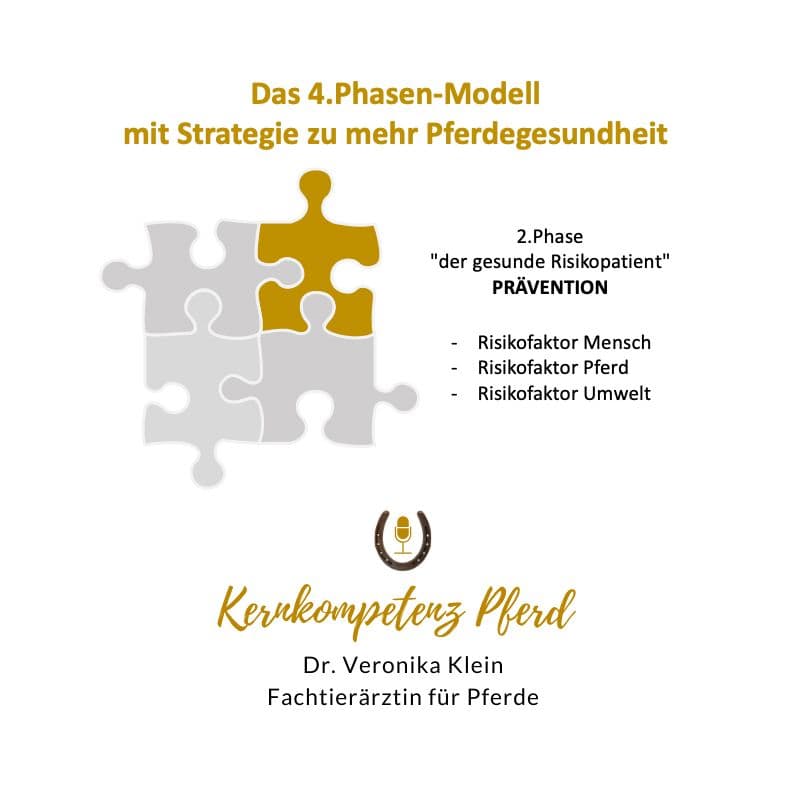 Phase 2: Prävention