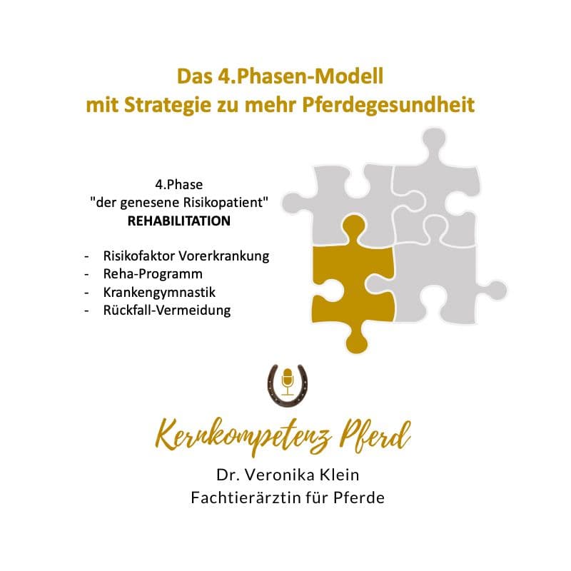 Phase 4: Rehabilitation