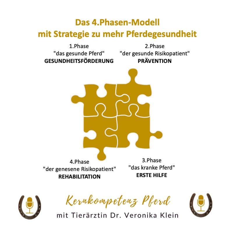 Das 4-Phasen-Modell für Pferdegesundheit