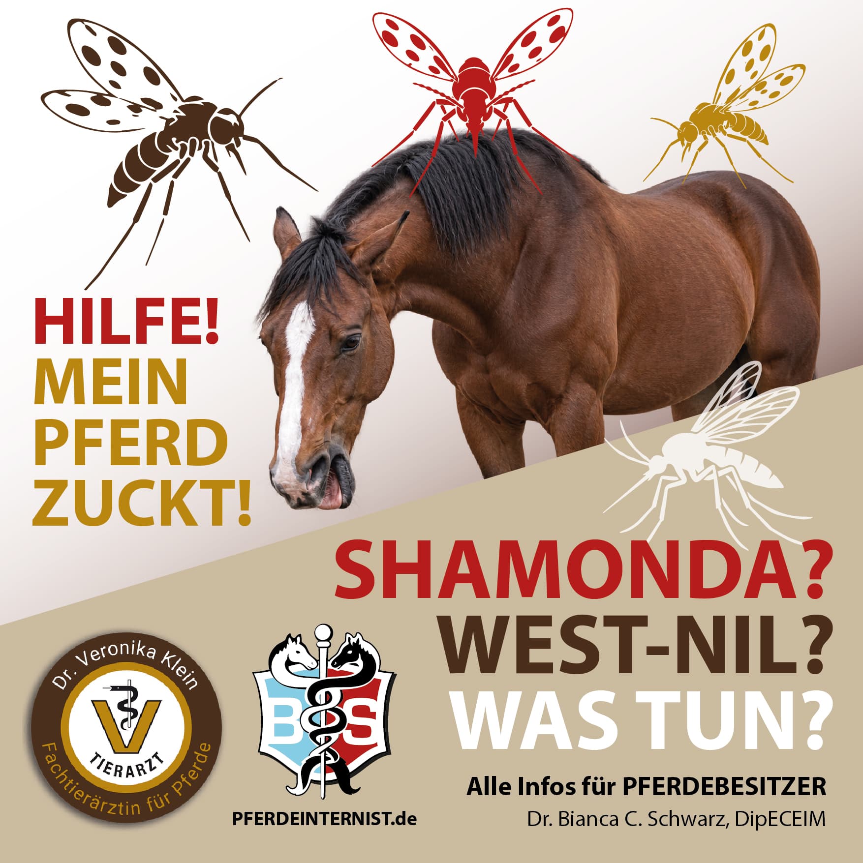 Webinar für Pferdebesitzer mit Dr. Bianca C. Schwarz: Hilfe! Mein Pferd zuckt! Shamonda? West-Nil? Was tun?