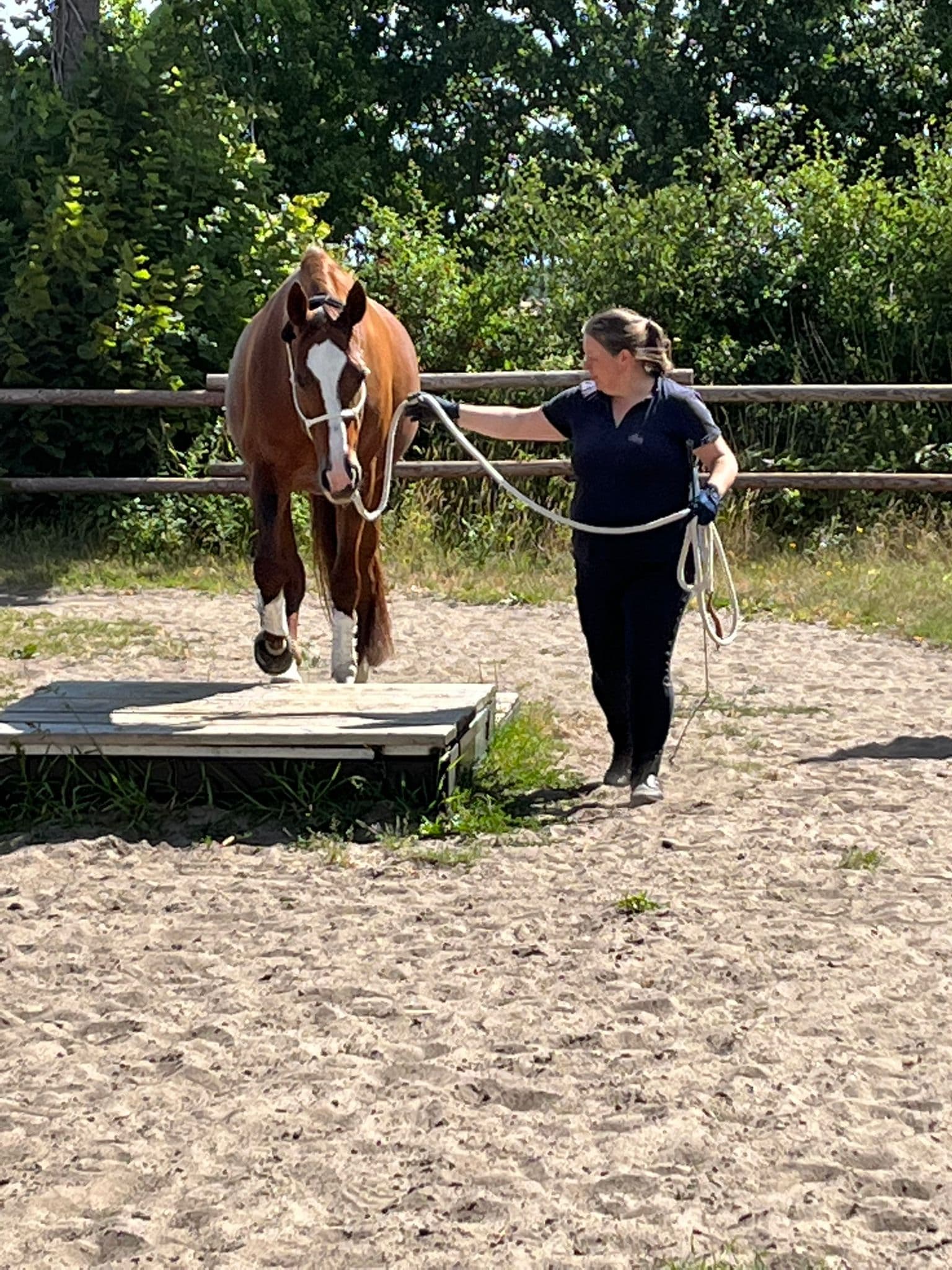Katrin