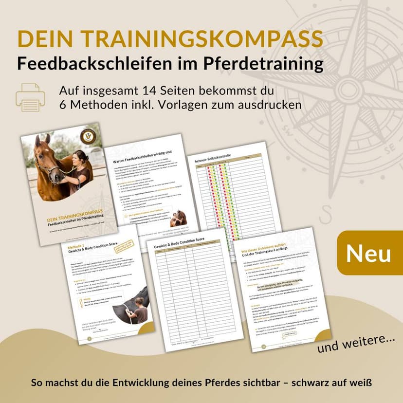 Der Trainingskompass: 14 Seiten mit Methoden und Vorlagen zum Ausdrucken