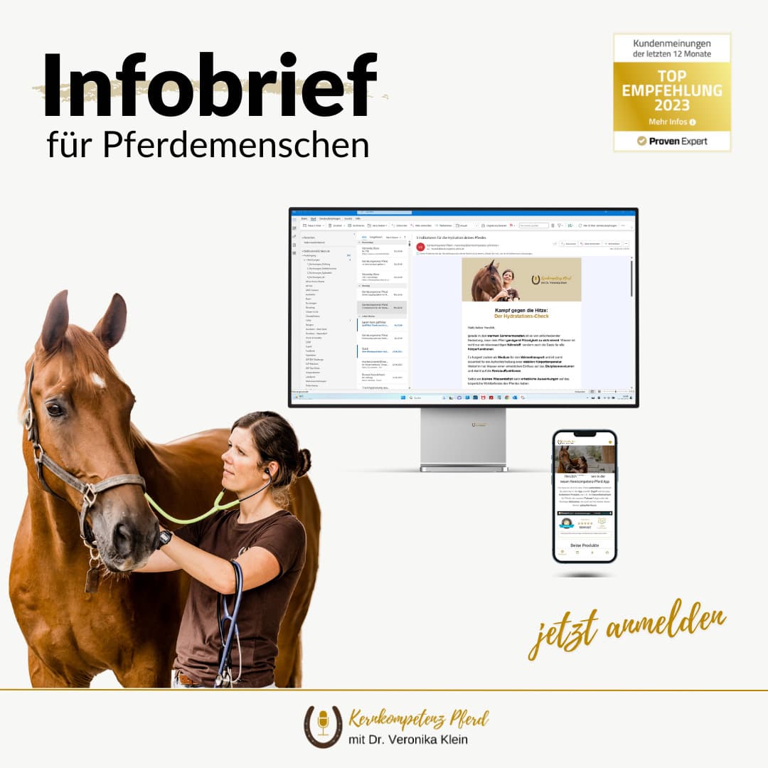 Infobrief Anmeldung