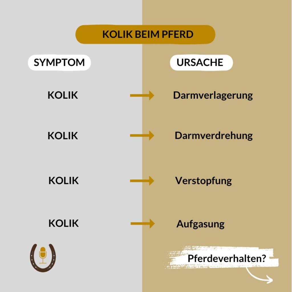 Symptome und Ursachen von Koliken