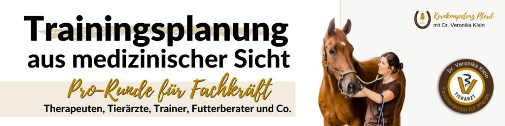 Trainingsplanung aus medizinischer Sicht - Pro Runde für Fachkräfte