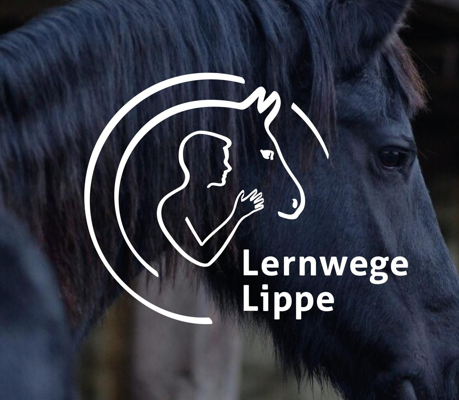 Logo Lernwege Lippe: Silhouette von Mensch und Pferd mit ausgestreckter Hand vor dunklem Pferdekopf im Hintergrund.