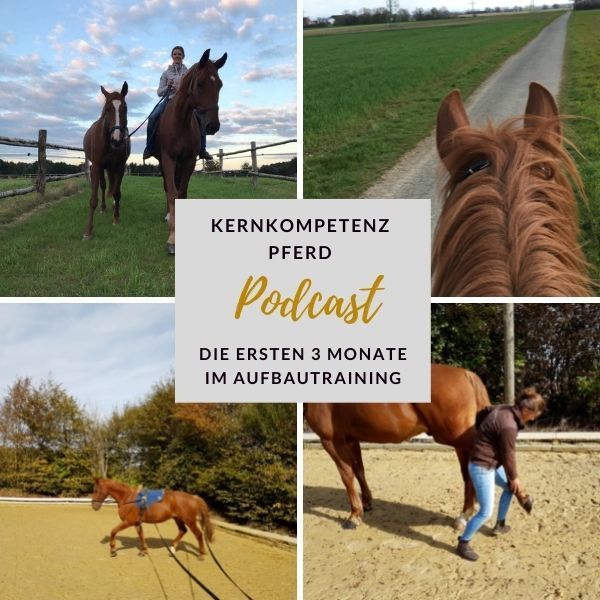 Podcast-Cover Kernkompetenz Pferd mit Collage zum Thema die ersten 3 Monate im Aufbautraining: Pferd am Boden, Ohrenblick im Gelände, Longieren und Hufkontrolle.