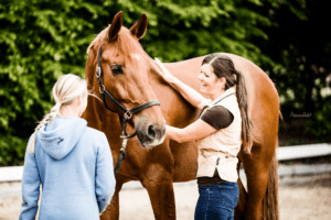 Pferdebesitzerin und Therapeutin stehen rechts und links neben einem Fuchswallach und tasten gemeinsam den Hals ab — Bestandsaufnahme vor dem Aufbau.