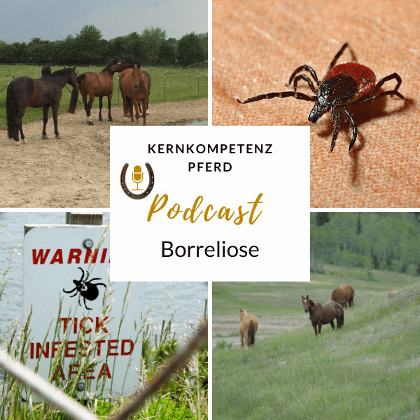 Podcast-Cover zur Folge ueber Borreliose beim Pferd mit Zecke, Warnschild und weidenden Pferden