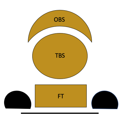 Schematische Anatomie-Skizze des Fesselträgers am Pferdebein mit Bezeichnung von Ursprung, Körper und Fesselträgerschenkeln.