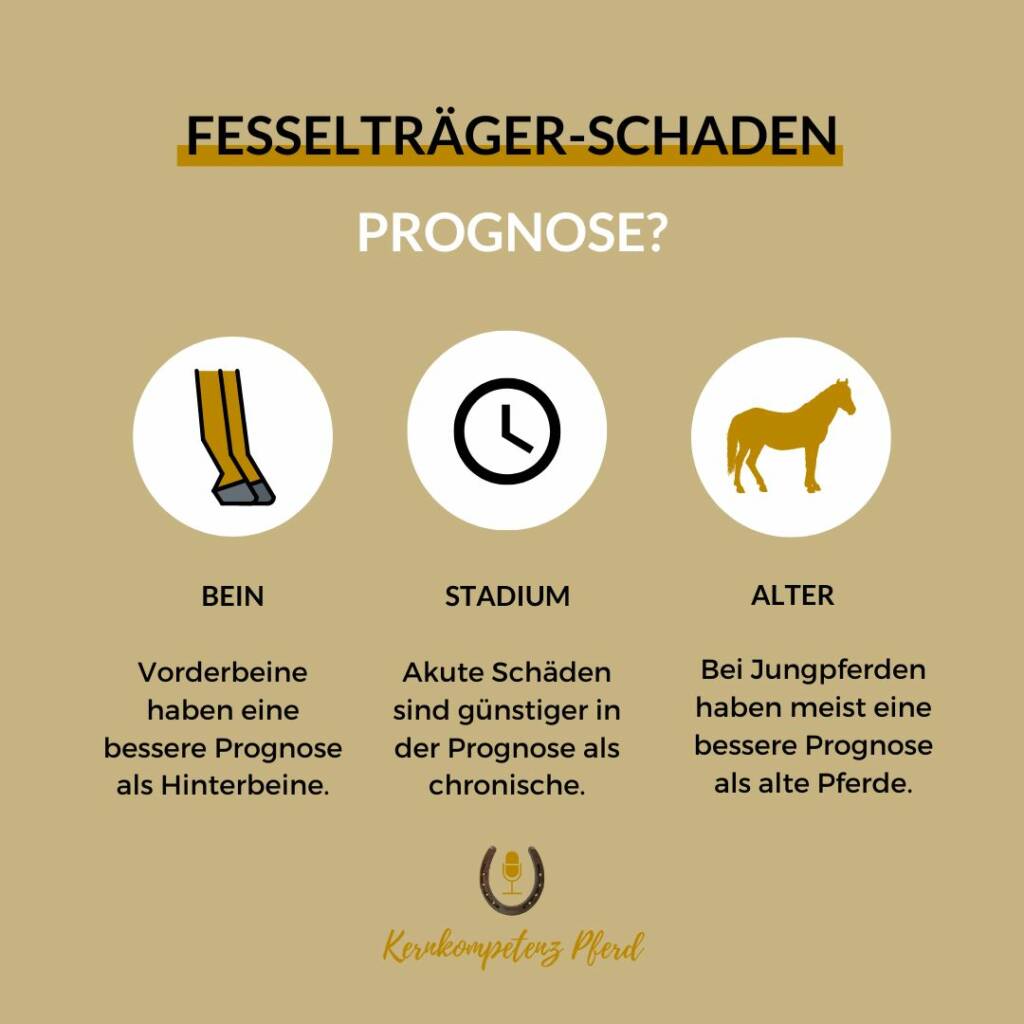 Infografik zur Prognose beim Fesselträgerschaden: Einfluss von betroffenem Bein, Stadium und Alter des Pferdes.