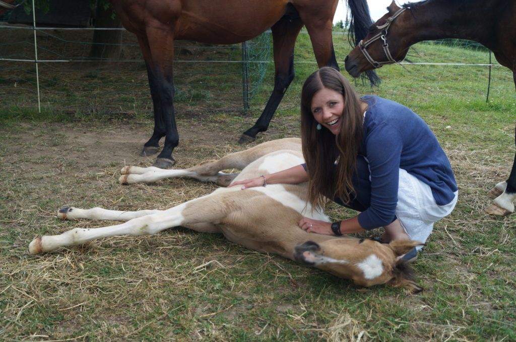 Tierärztin Dr. Veronika Klein bei einem liegenden Fohlen auf der Weide, Fohlen und Jungpferde gehören zur Hauptrisikogruppe für Druse