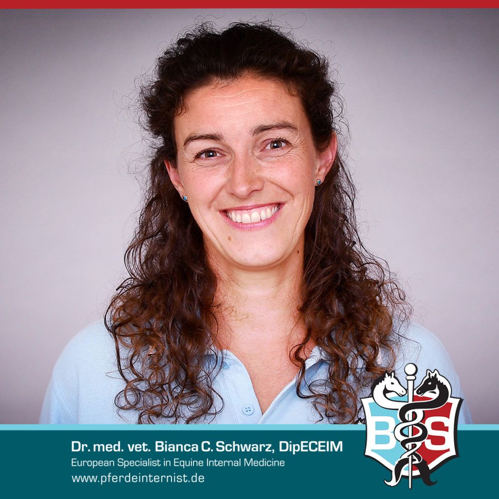 Porträt von Dr. med. vet. Bianca C. Schwarz, DipECEIM, europäische Spezialistin für Innere Medizin des Pferdes