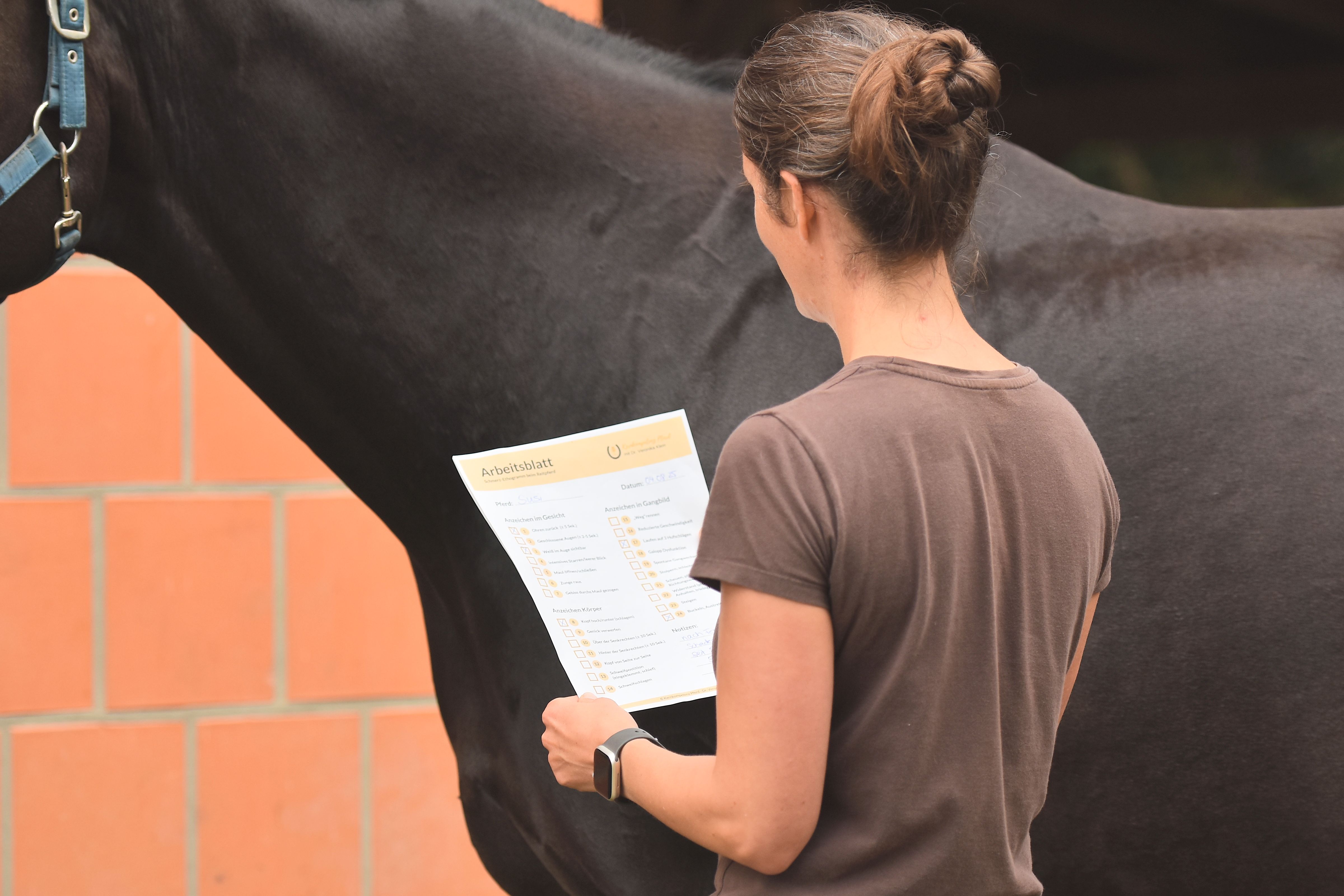 Reiterin hält Arbeitsblatt zur Ethogramm-Anwendung in der Hand, schwarzes Pferd im Hintergrund