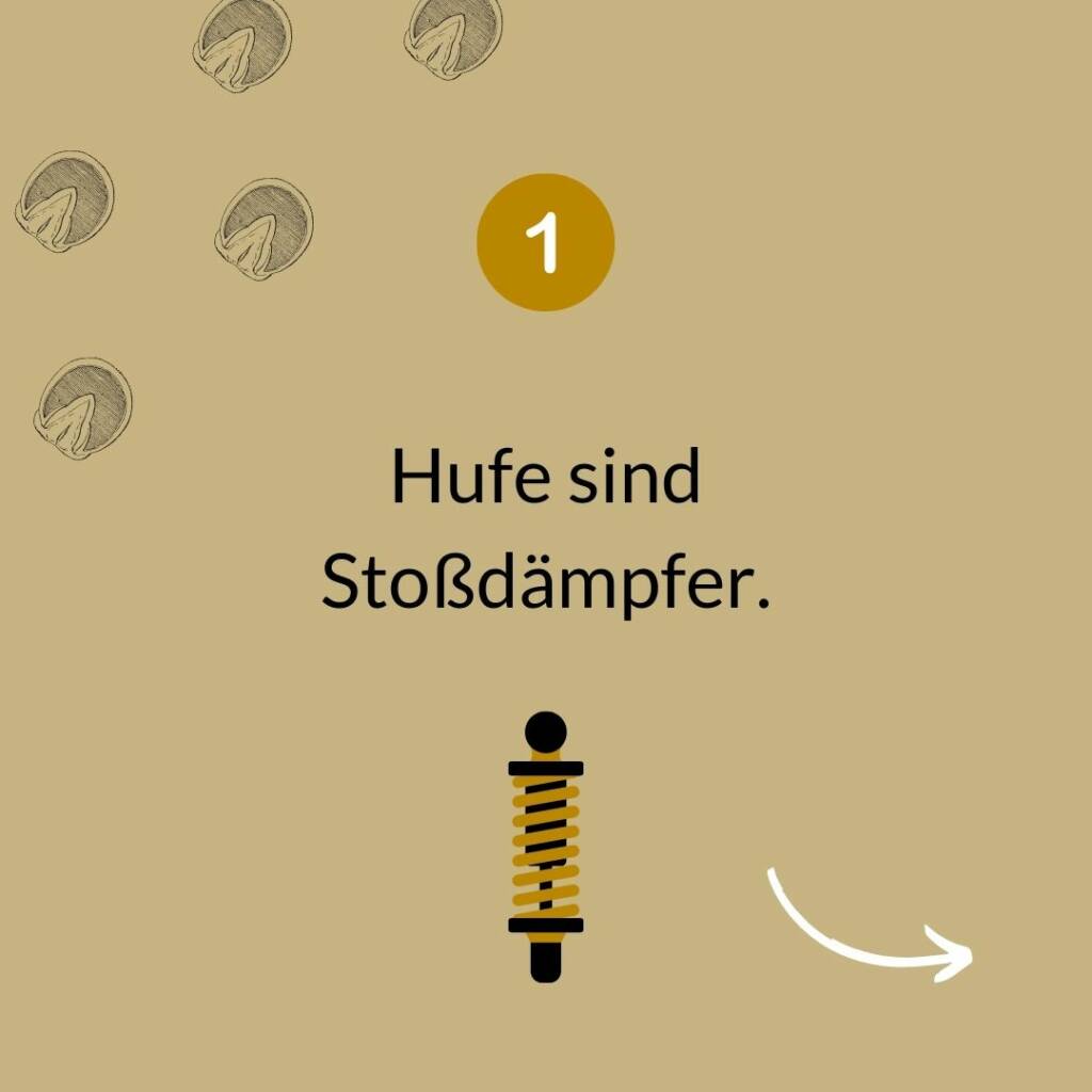 Grafik Huf-Fakt 1: Hufe sind Stoßdämpfer, illustriert mit einem Stoßdämpfer-Symbol