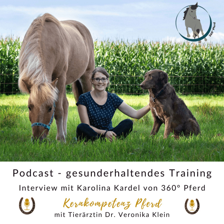 Carolina Kadel von 360 Grad Pferd, Pferdeergotherapeutin und Interviewgast zur gesunderhaltenden Bodenarbeit
