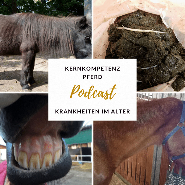 Podcast-Cover zur Folge über Krankheiten alter Pferde: Collage mit Pony, Kot mit langen Fasern, Schneidezähnen und abgemagertem Pferd