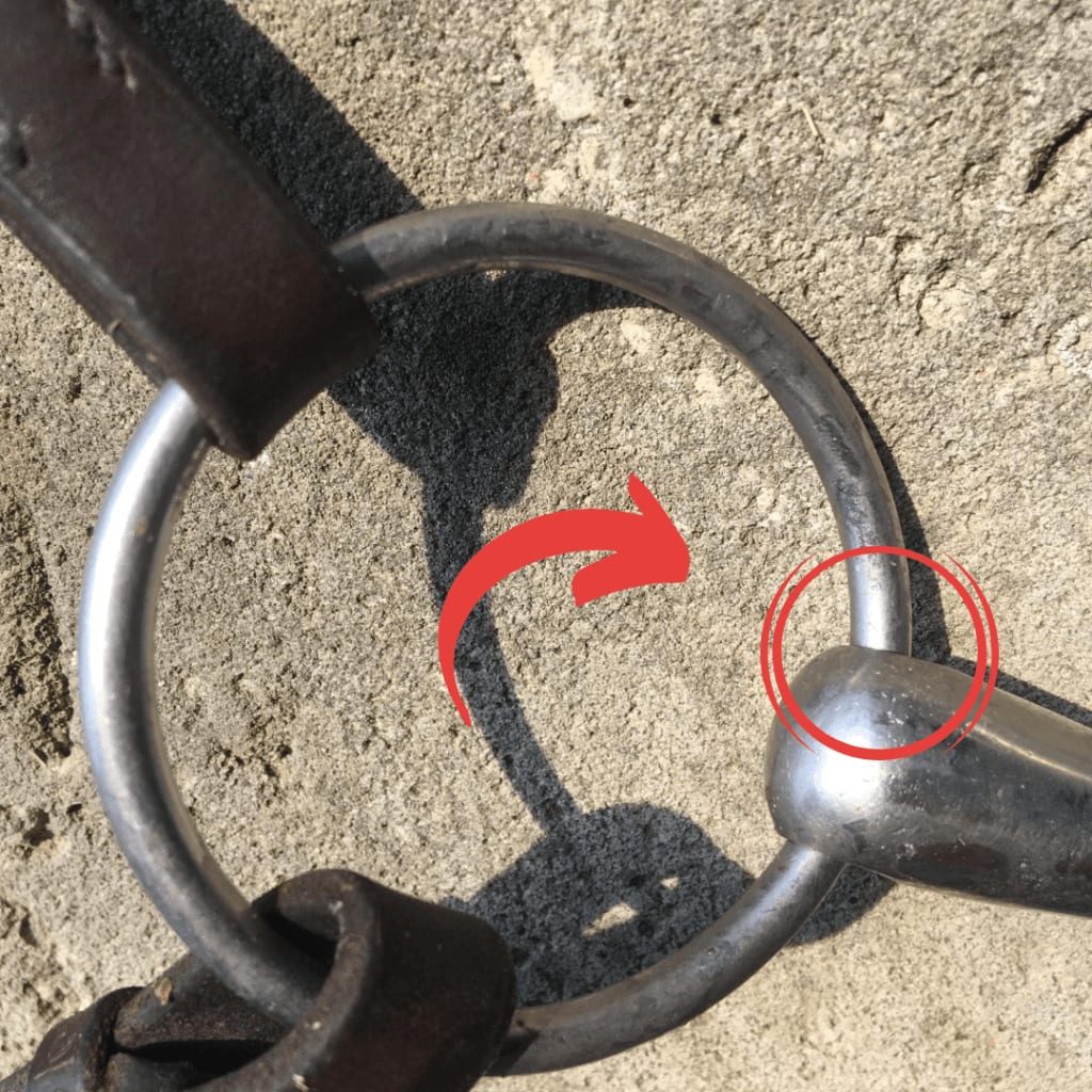 Wassertrense mit durchlaufendem Ring: An der Verbindung zwischen Mundstück und Ring können mit der Zeit scharfe Kanten entstehen