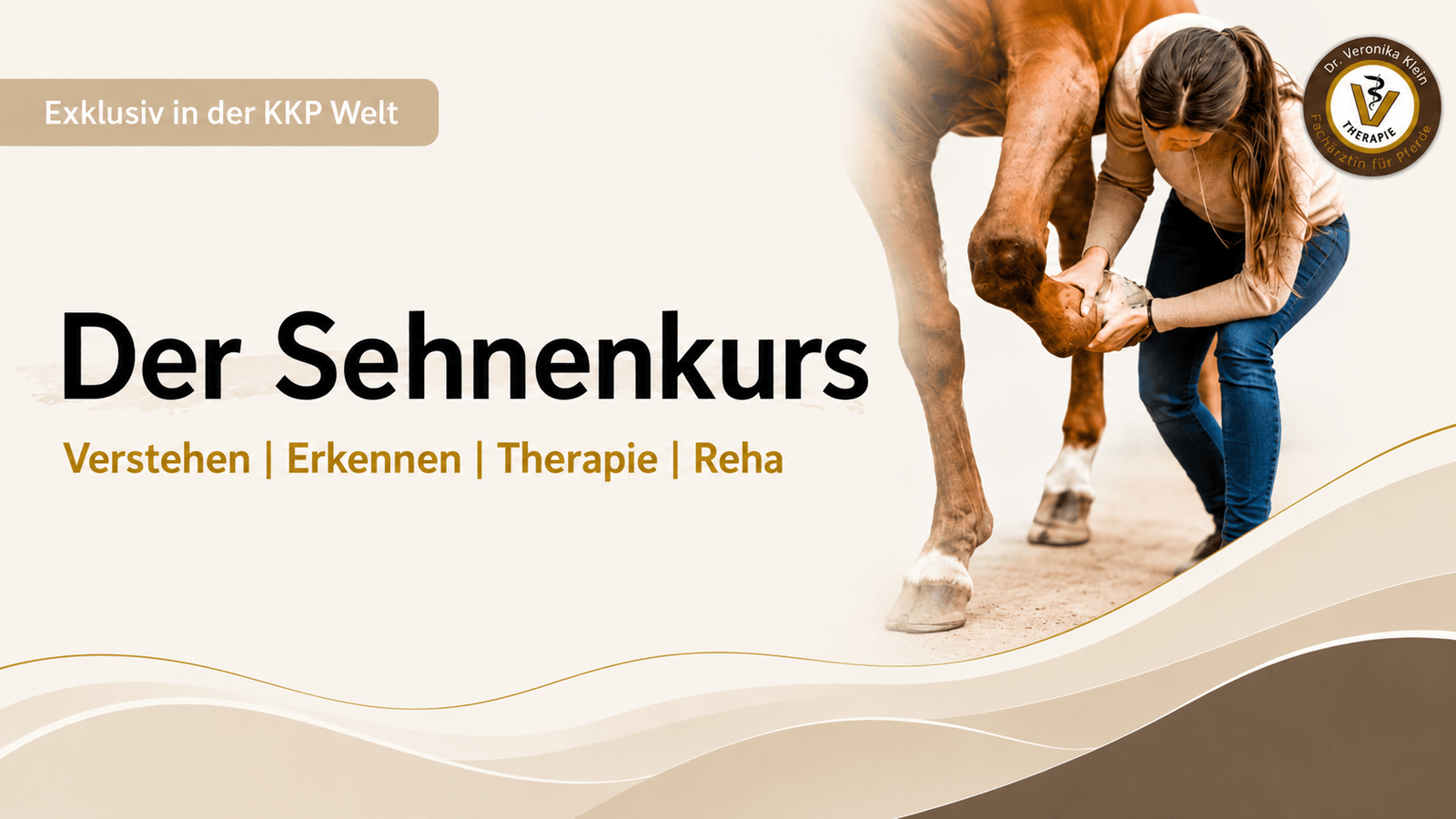 Kursgrafik Der Sehnenkurs mit den Stichworten Verstehen, Erkennen, Therapie und Reha, daneben Dr. Veronika Klein beim Abtasten einer Pferdevorderhand