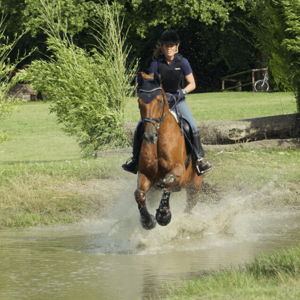 Pferd und Reiterin im Gelände, wechselnde Böden gehören zum gesunderhaltenden Training