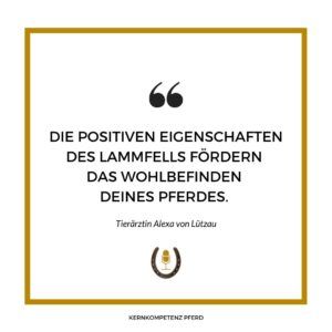 Zitatgrafik von Tierärztin Alexa von Lützau: Die positiven Eigenschaften des Lammfells fördern das Wohlbefinden deines Pferdes