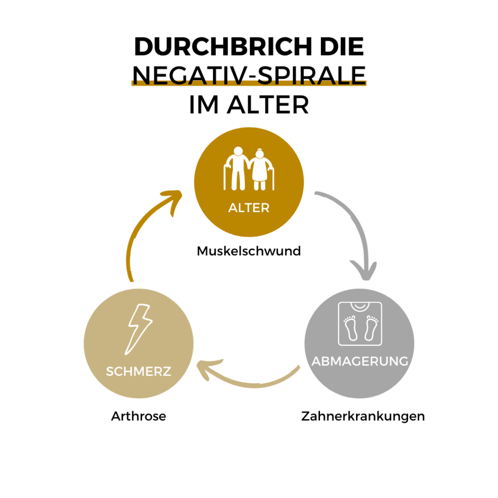 Infografik zur Negativspirale beim alten Pferd: Zahnprobleme, Abmagerung, Muskelschwund und Schmerz verstärken sich gegenseitig