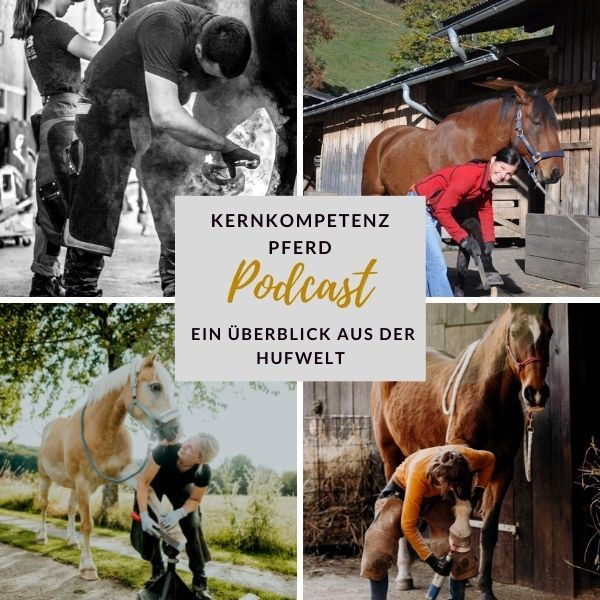 Podcast-Cover Kernkompetenz Pferd zur Folge Ein Überblick aus der Hufwelt, Collage mit vier Fotos von Hufbearbeitung am Pferd
